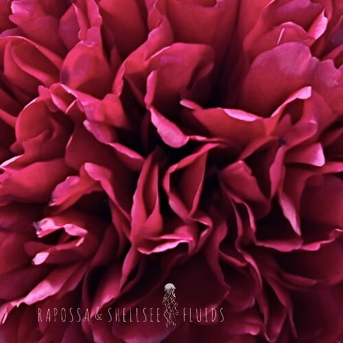  Rapossa & Shellsee - Fluids (2026) 