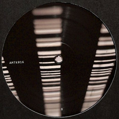  Amotik - Amotik 016 (2025) 
