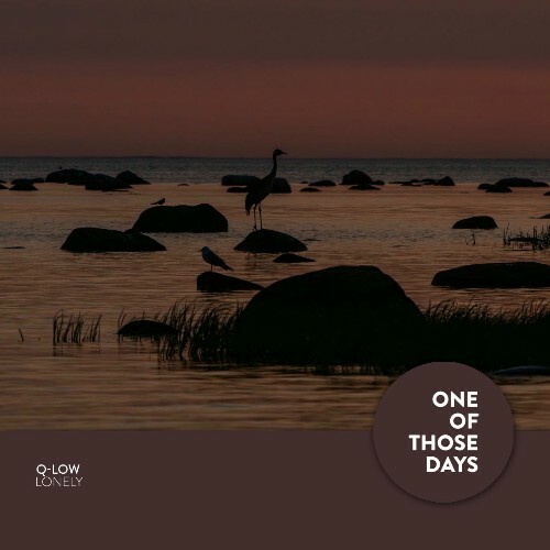  Q-Low - Lonely (2025) 