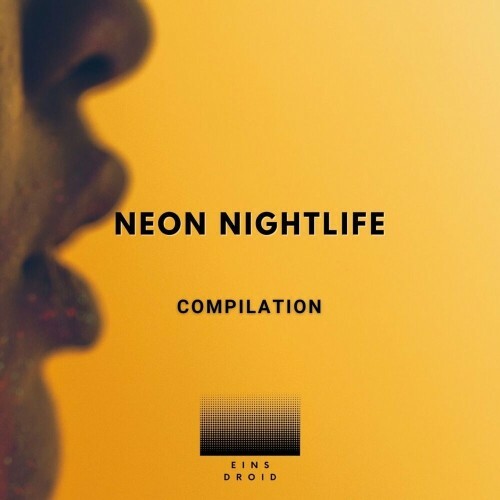 VA - Trace the Kid - Neon Nightlife (2024) (MP3)