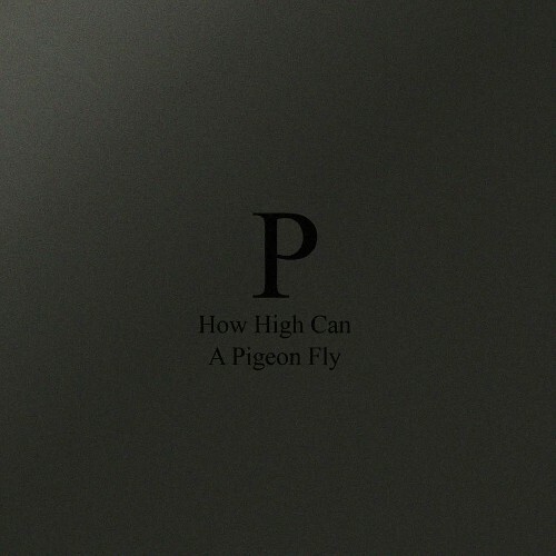  Phara - How High Can A Pigeon Fly (2024) 