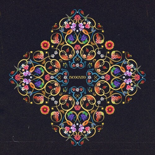 Mitekiss - Incognito (2025) Mitekiss - Incognito (2025)