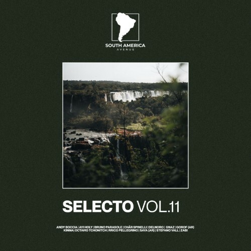 Selecto South America, Vol. 11 (2026)