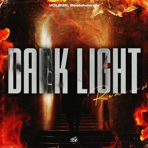 VOLB3X x BeatsHoundz - Dark Light (Remixes) (2024)