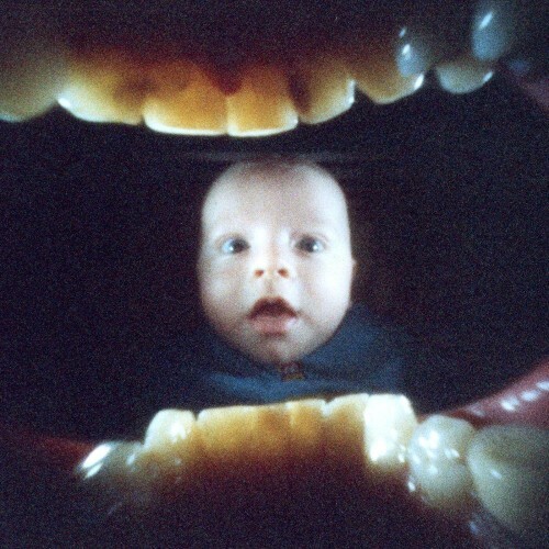  Michael Seyer - Boylife (2025) 