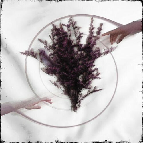 Take The Name — Limerence (2026)