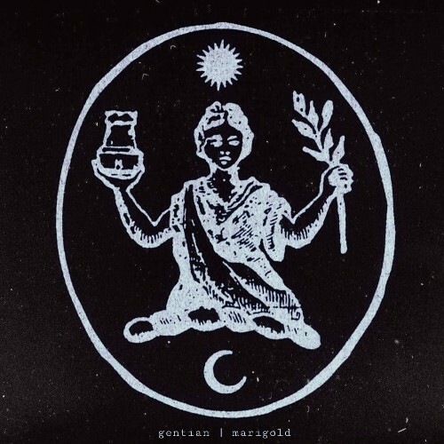  Gentian - Marigold (2025) 