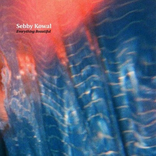 VA - Sebby Kowal - Everything Beautiful (2024) (MP3) METGKZ4_o