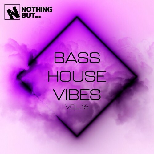 Nothing But... Bass House Vibes, Vol. 16 (2026)