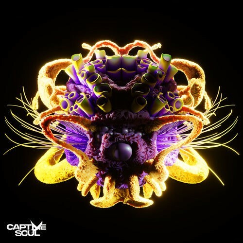 Jules Brand (Nl) Feat Anticalm — The Moment (2026)