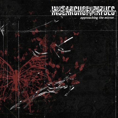  In Search Of Statues - Approaching The Mirror (2025) 