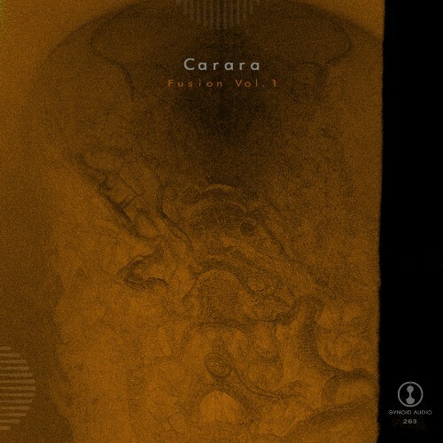  Carara - Fusion, Vol. 1 (2025) 