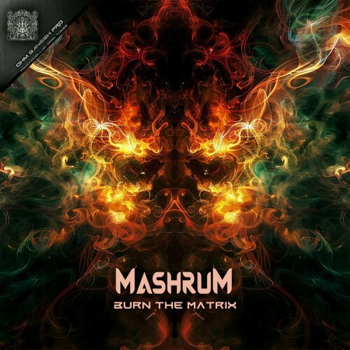  Mashrum - Burn The Matrix (2024) 