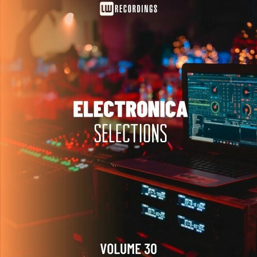 Electronica Selections, Vol. 30 (2025) Electronica Selections, Vol. 30 (2025)