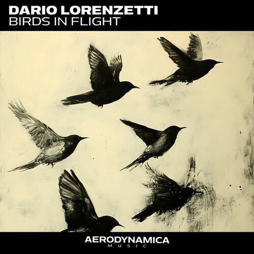  Dario Lorenzetti - Birds In Flight (2025) 