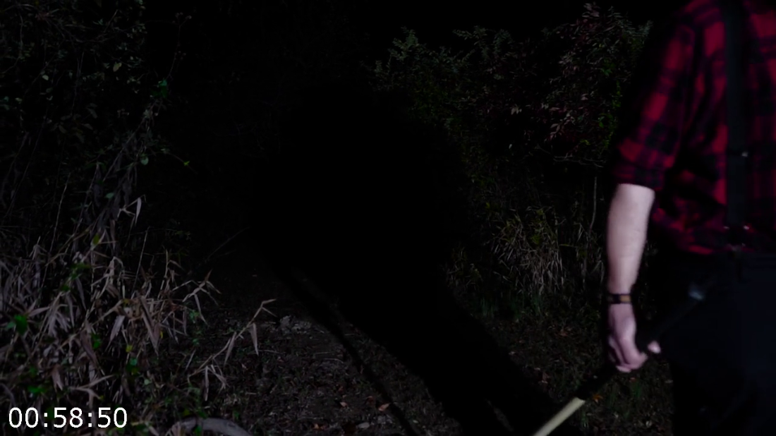 [Kép: ME1CN8BT_o.png]