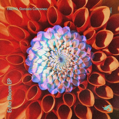  Faero & Gonzalo Cotroneo - Echo Bloom (2025) 