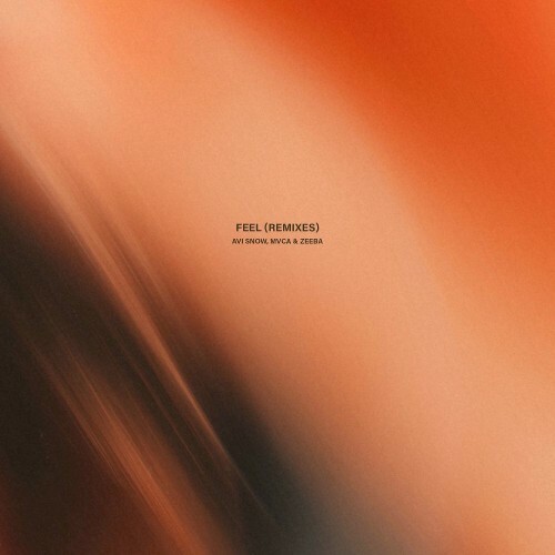  Avi Snow x MVCA & Zeeba - Feel (Remixes) (2025) 
