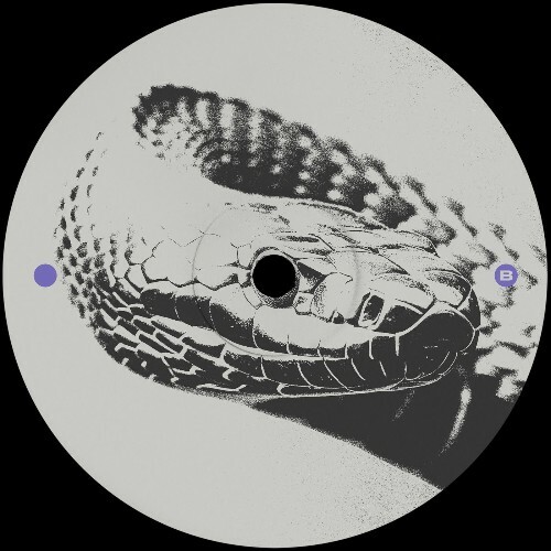  Rill - Friss (2025) 