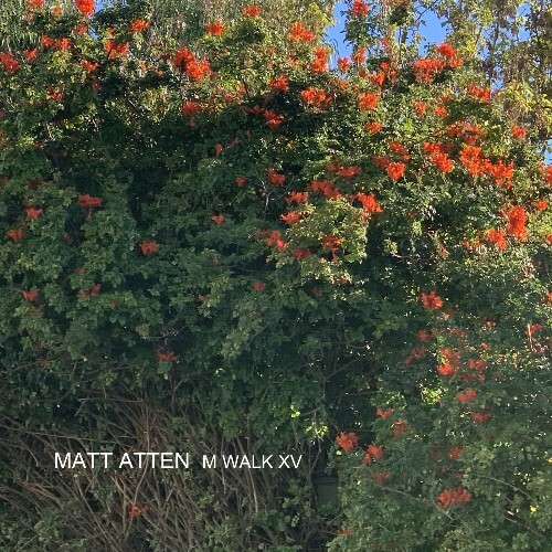  Matt Atten - M Walk XV (2026) 