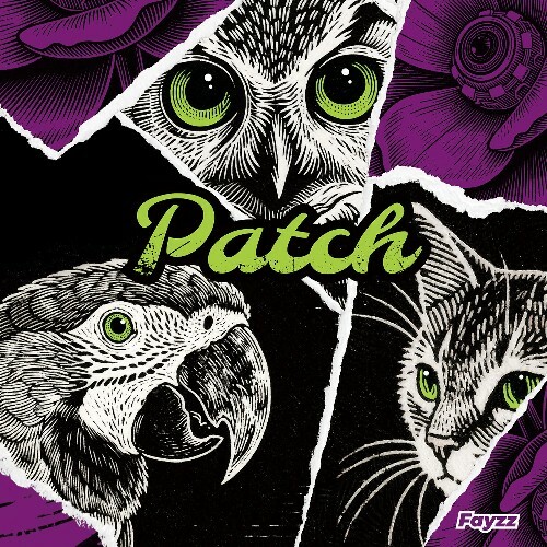  Fayzz - Patch (2025) 