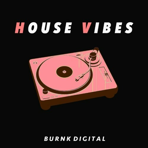  Burnk Digital - House Vibes (2024) 