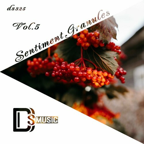  Sentiment Granules, Vol. 5 (2025) 