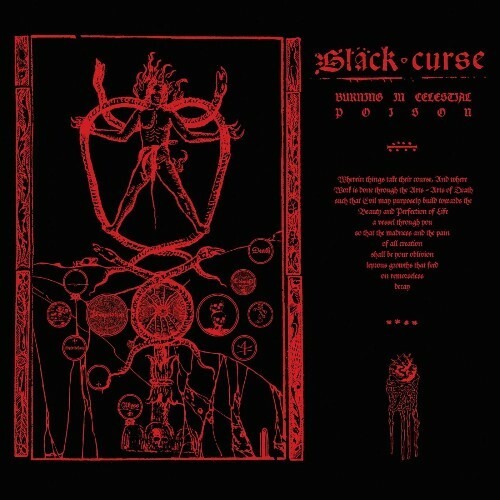  Black Curse - Burning in Celestial Poison (2024) 