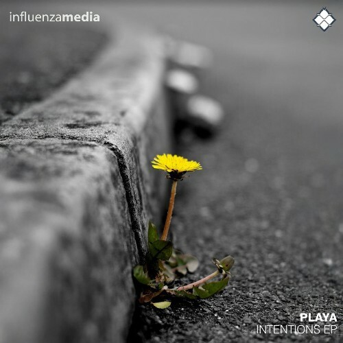  Playa - Intentions (2025) 
