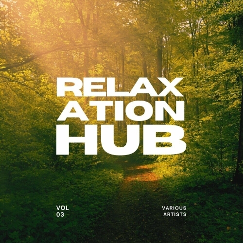  Relaxation Hub, Vol. 3 (2025) 