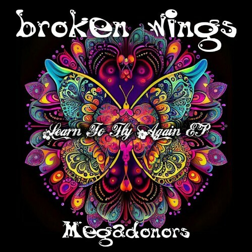  Megadonors - Broken Wings (Learn to Fly Again EP) (2024) 