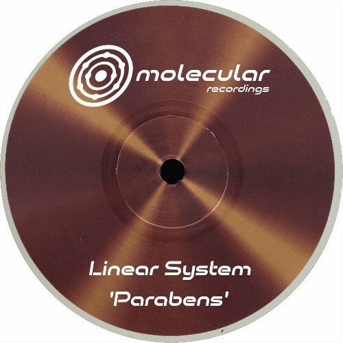 VA - Linear System - Parabens (2022) (MP3)