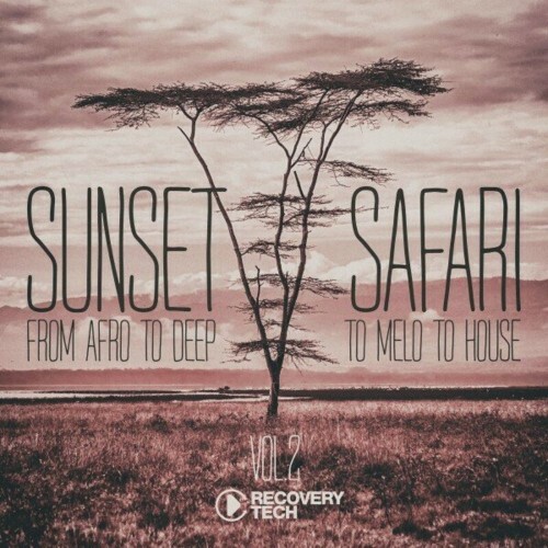  Sunset Safari, Vol. 2 (2023) 