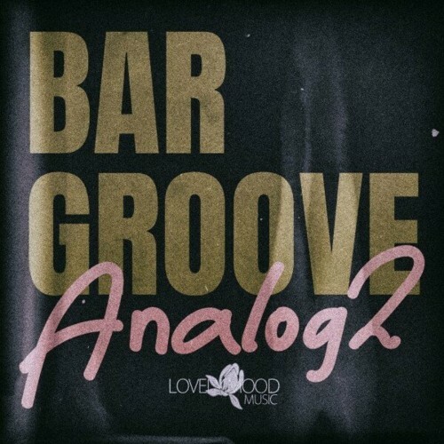  Bar Groove Analog 2 (2023) 