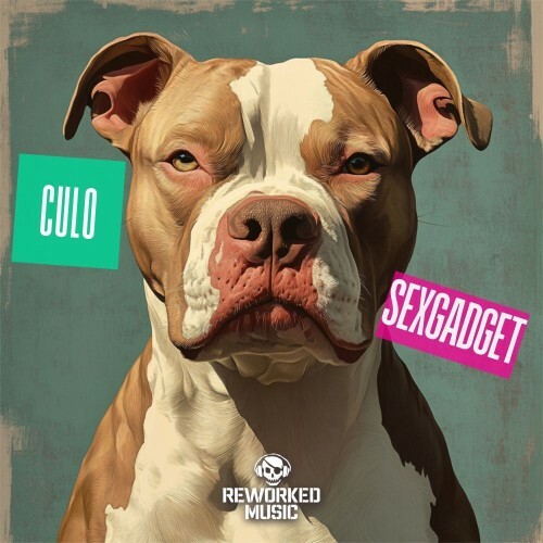  Sexgadget - Culo (2025) 