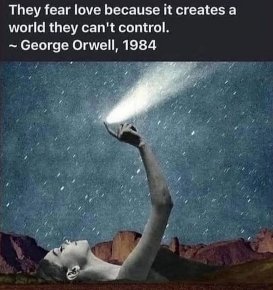 ME13272O_o.jpg