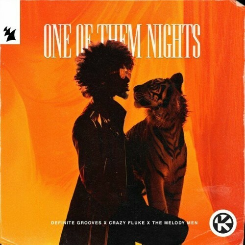  Definite Grooves X Crazy Fluke X The Melody Men - One Of Them Nights (2024) 