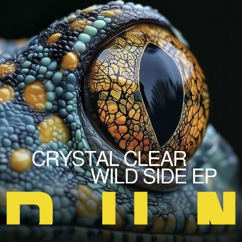  Crystal Clear, Minor Forms, 2SHY MC - Wild Side (2025) 