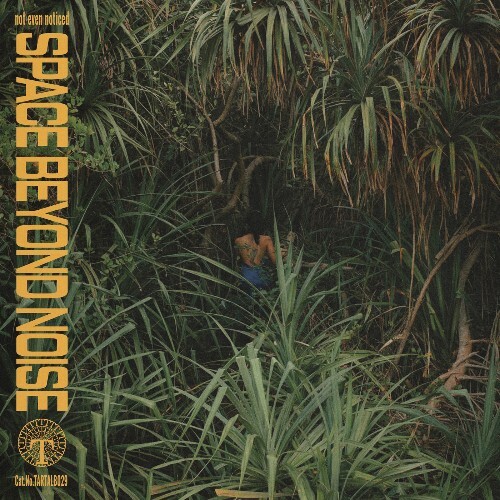 Not Even Noticed — Space Beyond Noise (2026)
