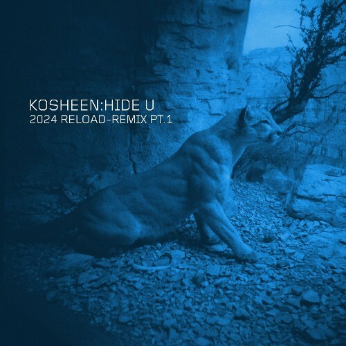 MP3:  Kosheen - Hide U (2024 Reload-Remix, Pt. 1) (2024) Онлайн