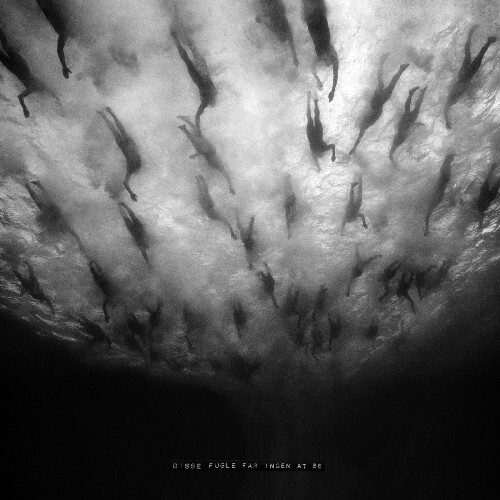  Morild - Disse Fugle F&#229;r Ingen At Se (2025) 