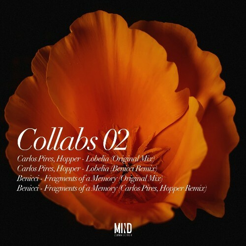  Hopper & Carlos Pires - Collabs 02 (2024) 