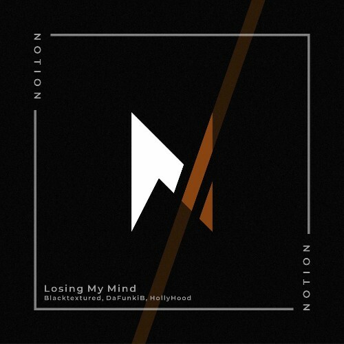  HollyHood, Blacktextured & DaFunkiB - Losing My Mind (2025) 