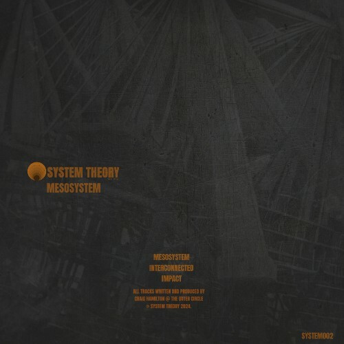  System Theory - Mesosystem (2024) 