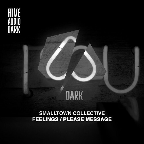  Smalltown Collective - Feelings / Please Message (2025) 