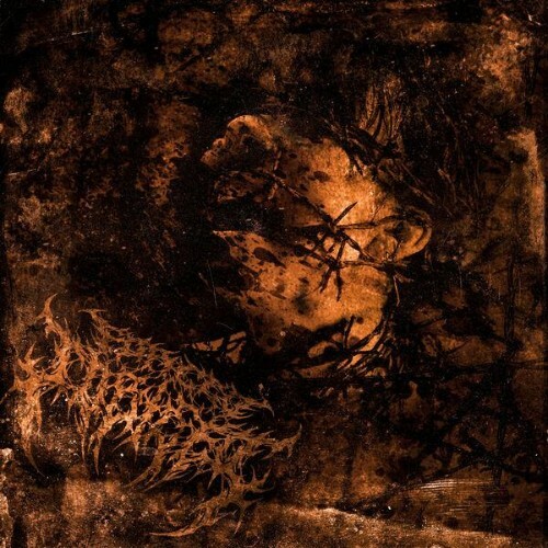  FORCED TO BLEED, Jared Armitage - Forced To Bleed (2026) 