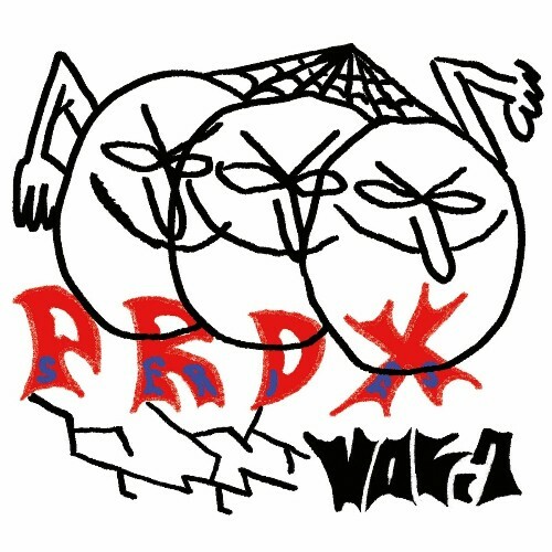 VA -  PRDX SERIES (VOL. 1) (2024) [MP3] MEW71ER_o