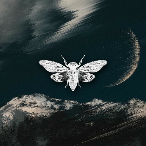  Proxxy (BR) - Acid Moon (2025) 