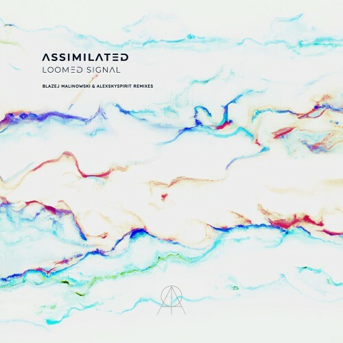  Assimilated - Loomed Signal (2025) 
