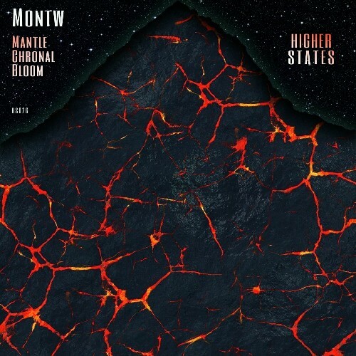  Montw - Mantle / Chronal / Bloom (2025) 